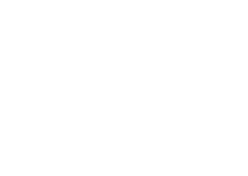 every noodle counts